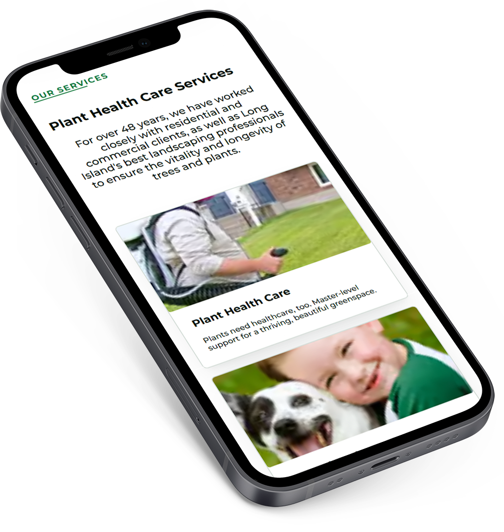 mobile website design mockup for Jolly Green Tree